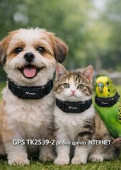Αδιάβροχη συσκευή για κατοικίδια συσκευή GPS tracker 4G με κολάρο και δυο χρόνια ιντερνετTK2539-2