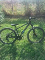 All - Mountain 2021 Comanche Prairie 16”-thumb-2