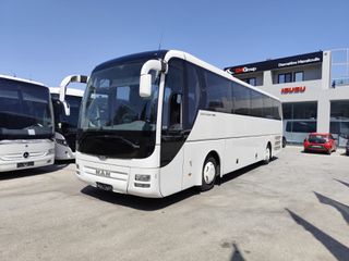 MAN 2015 Lions Coach