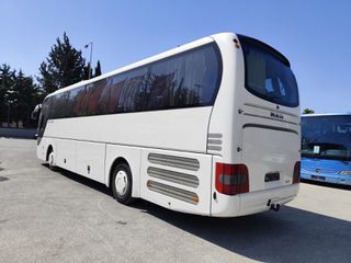 MAN 2015 Lions Coach-thumb-6