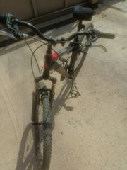 All - Mountain Orient 2022 Steed Eco