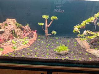 Ενυδρείο 350 l.-thumb-5