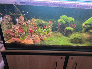 Ενυδρείο 350 l.-thumb-6