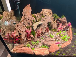 Ενυδρείο 350 l.-thumb-8