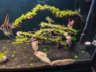 Ενυδρείο 350 l.-thumb-9