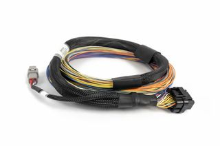 Haltech Nexus T1/T2 Basic Universal Wiring Harness 2.5M (8')
