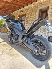 Triumph Tiger 1050 SE 2009-thumb-2