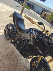 Triumph Tiger 1050 SE 2009-thumb-6