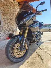 Triumph Tiger 1050 SE 2009-thumb-8