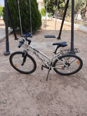 All - Mountain Ideal 2020 freeder