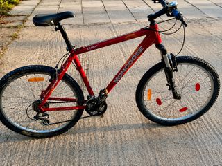 All - Mountain Mongoose 2013 Mountain bike