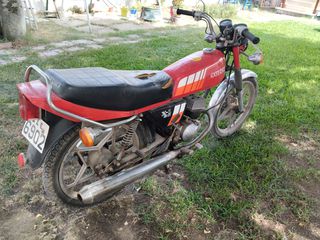 Suzuki 1981