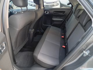 Citroen C4 Cactus 2019-thumb-13