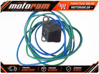 RICK'S MOTORSPORT ELECTRIC COIL TRIGGER SUZUKI/ARTIC 21-528