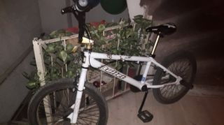 BMX Bullet 2021-thumb-1