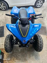 CFmoto CFORCE 110 2025