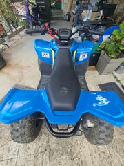 CFmoto CFORCE 110 2025-thumb-3