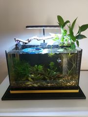 Ενυδρείο WALSTAD 20lt