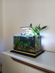 Ενυδρείο WALSTAD 20lt-thumb-10
