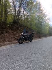 Voge 500DS 2024
