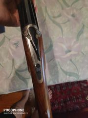 Batista Rizzini Artemis