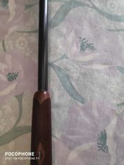 Batista Rizzini Artemis-thumb-1