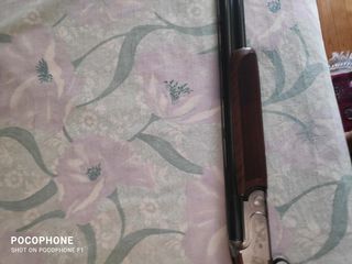 Batista Rizzini Artemis-thumb-8