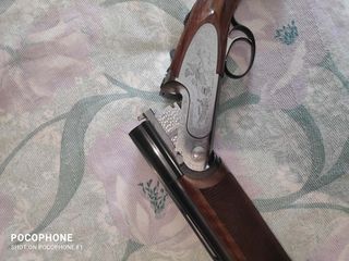 Batista Rizzini Artemis-thumb-25