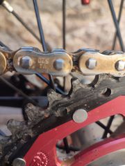 Beta RR 350 2022 Racing-thumb-3