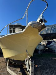 Sea Fox 2009 257cc