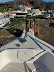 Sea Fox 2009 257cc-thumb-3