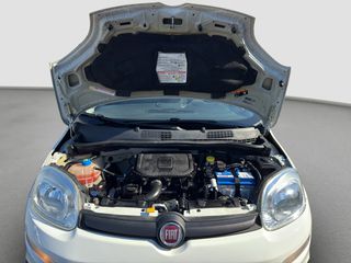 Fiat 2021 Pop | Δόσεις Χωρίς Τράπεζα-thumb-21