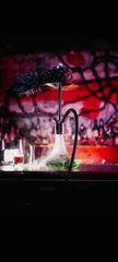 Steamulation L shisha,hookah, ναργιλές