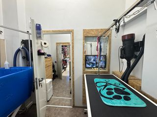 Pet Grooming-Pet shop-Eshop-thumb-2