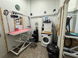 Pet Grooming-Pet shop-Eshop-thumb-3