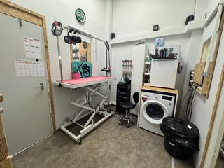 Pet Grooming-Pet shop-Eshop-thumb-6