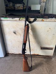 Beretta 303