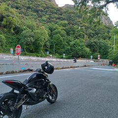 Daytona V310 2020-thumb-3