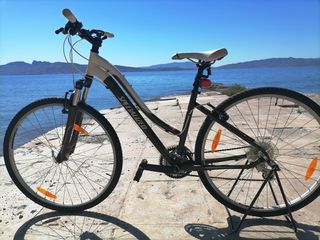 Πόλης Specialized 2017 Ariel
