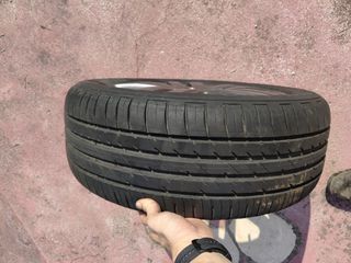 Ζαντολάστιχα-thumb-3