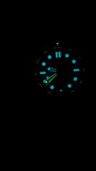 Omega Seamaster Diver 300M – Full Set / 2025-thumb-7