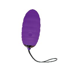 Adrien Lastic Ocean Breeze 2.0 Vibrating Egg + LRS Remote Purple