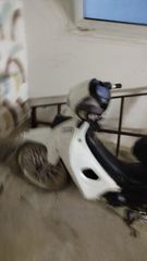 Modenas Dynamik 2007-thumb-5