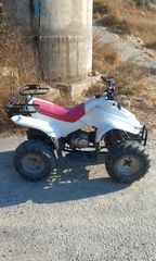 Dinli Beast 110 2005-thumb-1