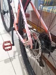 All - Mountain Head 2022 x-rubi-thumb-1