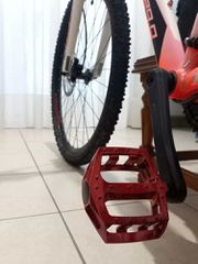 All - Mountain Head 2022 x-rubi-thumb-3