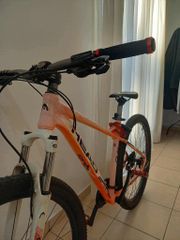 All - Mountain Head 2022 x-rubi-thumb-5