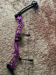 Top point arco compound serenity syncro cam