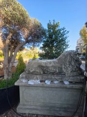 Λιοντάρια-thumb-3