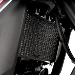 R Pro Radiator Guard-thumb-4